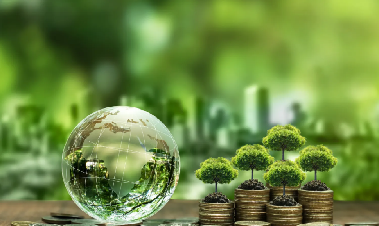 Zero-Carbon Development Strategy and Implementation Plan